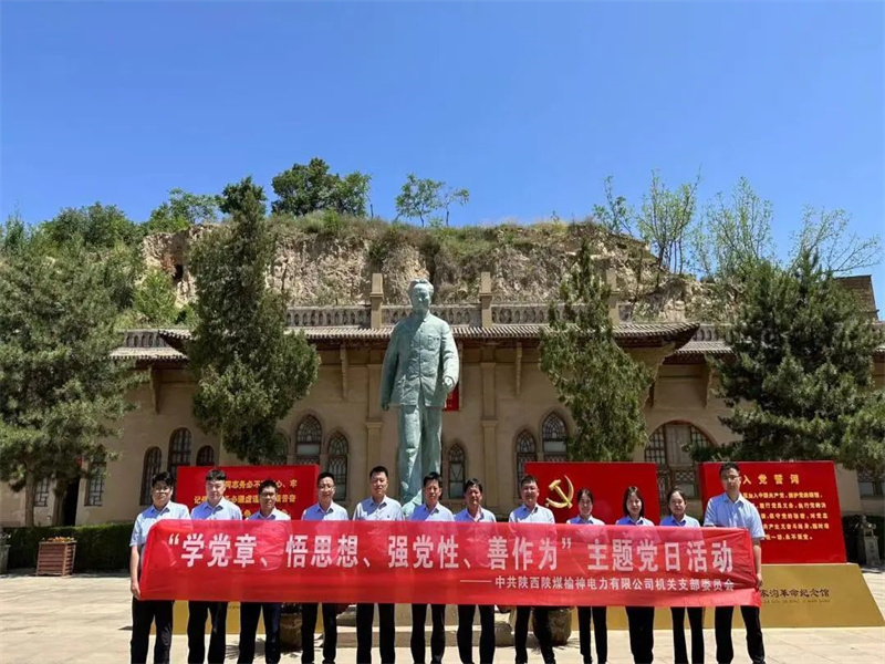 榆神電力公司開展“學(xué)黨章、悟思想、強黨性、善作為”主題黨日活動.jpg