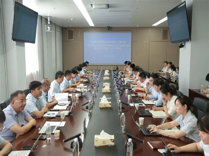 公司召開學(xué)習貫徹習近平新時代中國特色社會主義思想主題教育第三次工作例會.jpg
